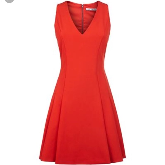 Alice and Olivia Elva Fit & Flare Dress - Picture 4 of 5